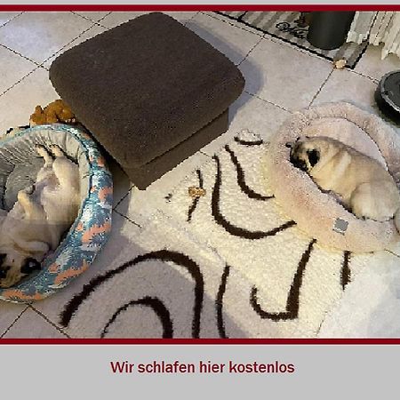 Stadt-Gut-Hotel Rheinischer Hof 에센 외부 사진