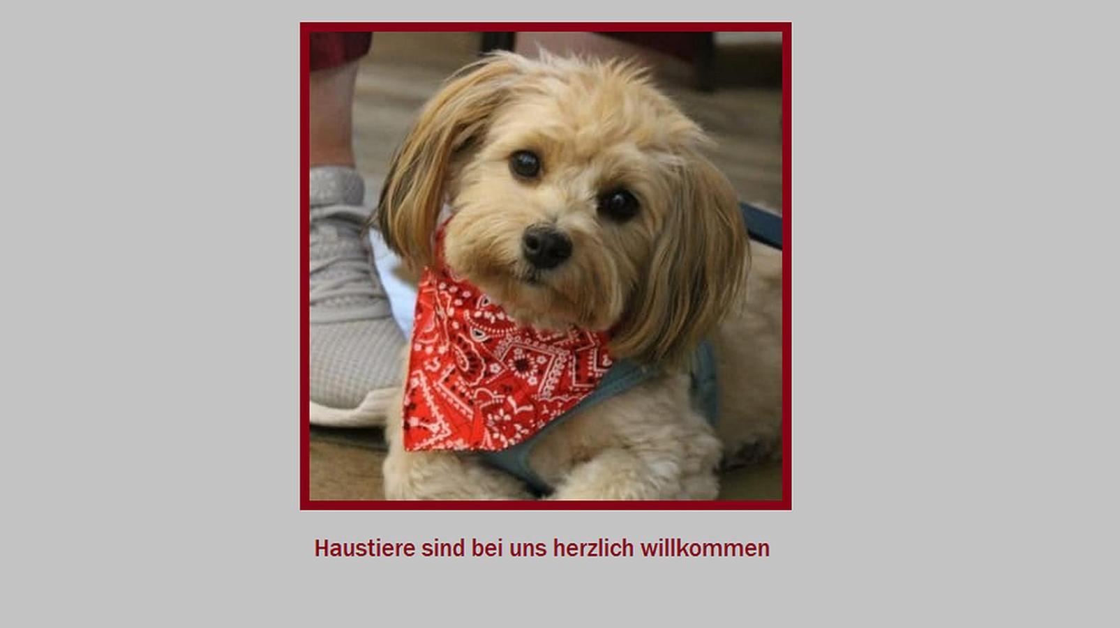 Stadt-Gut-Hotel Rheinischer Hof 에센 외부 사진